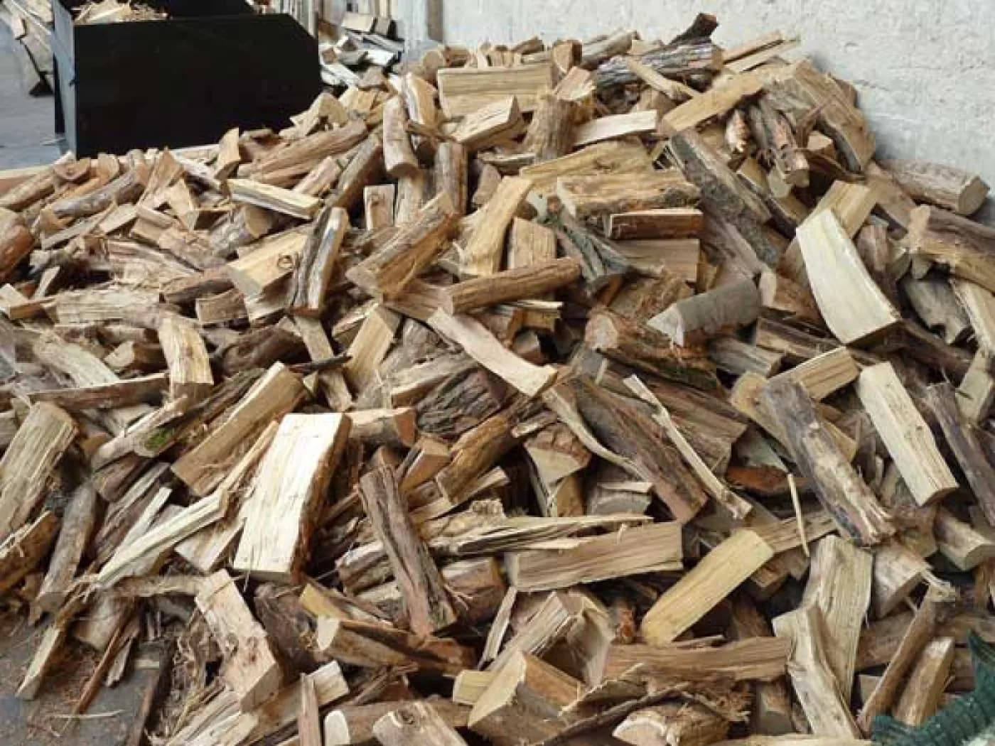 Buche Meterholz frisch (Raummeter) – 100 cm – Frisch, zum Selbsttrocknen – Lose gekippt