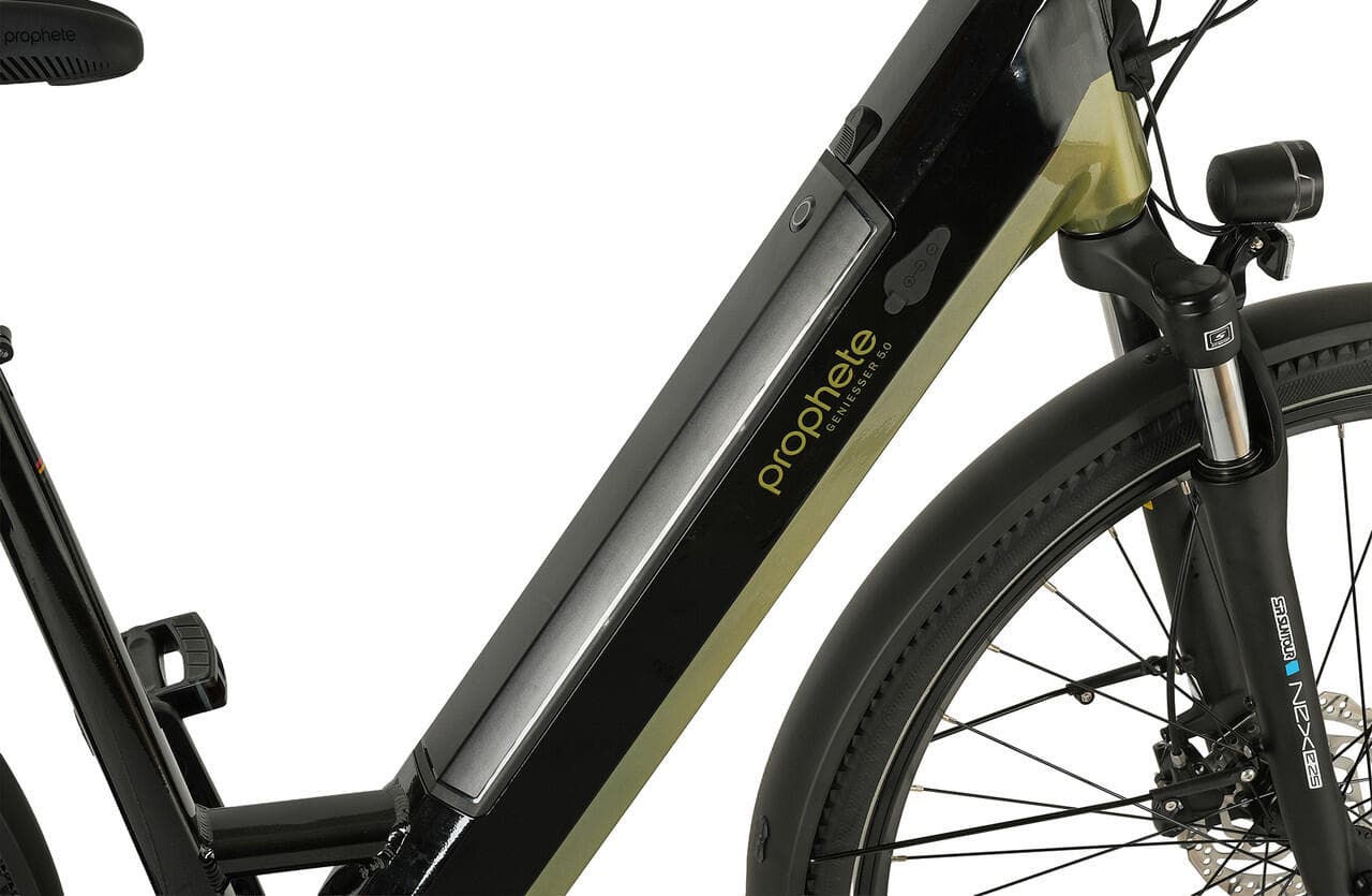 Prophete E-Bike Geniesser 6.0 28âł Wave RH48 - M