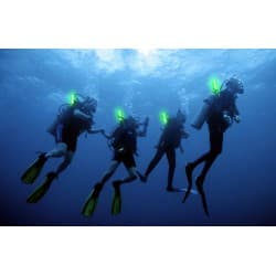 CYALUME - LOT DE 10 SNAPLIGHT BATON LUMINEUX VERT - 15CM - 12H