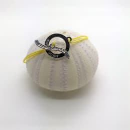 Bracelet cordon Fermoir - Rhodié Jaune