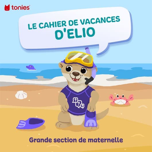 Grande section de maternelle