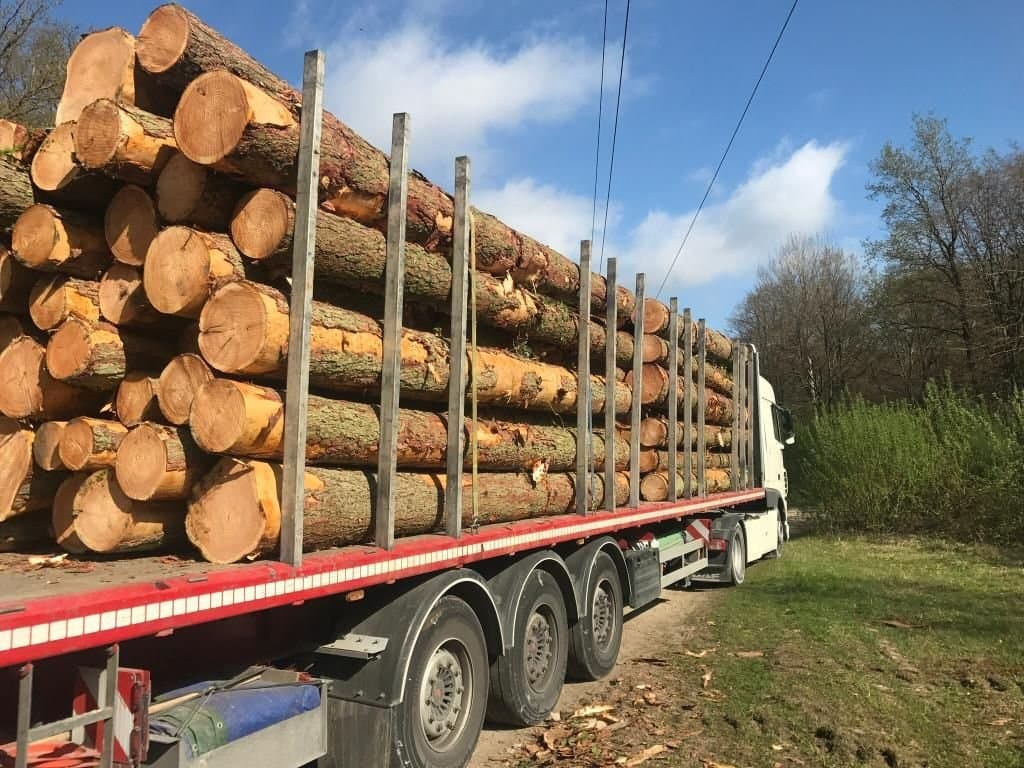 Châtaignier en grume – Camion complet de 50 stères, bois local pour poêle et insert fermés