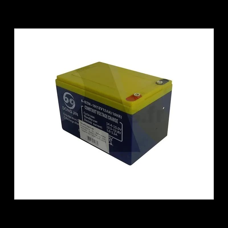 Batterie 12 Volts 12 Ah/10HR avec cosses spécifiques