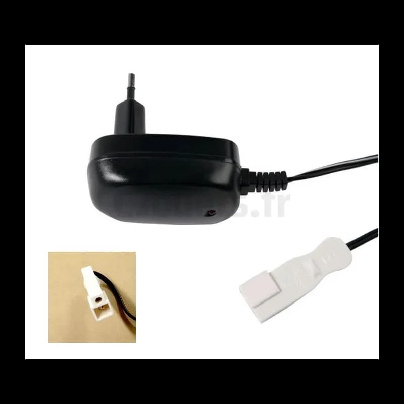 Chargeur de batterie 12 Volts Injusa