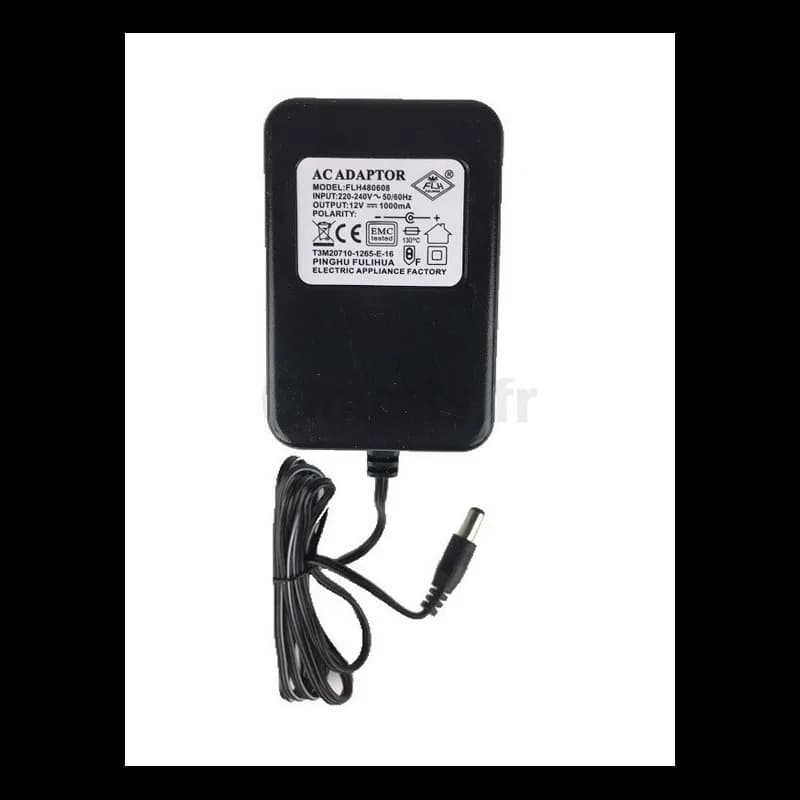 Chargeur de batterie 12 Volts 1000 mAh Pour Véhicules Electriques