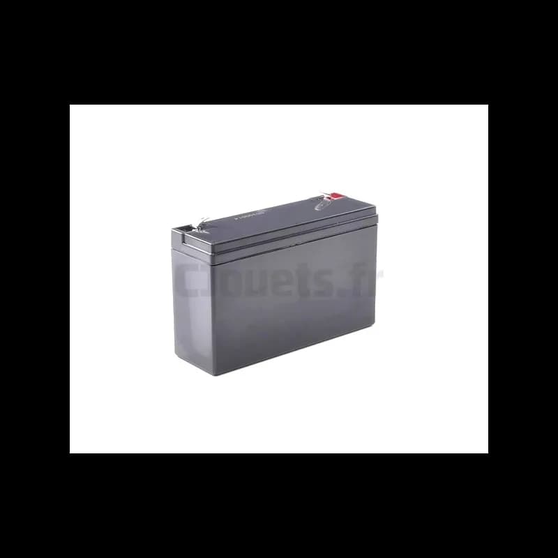 Batterie 6 Volts 12Ah