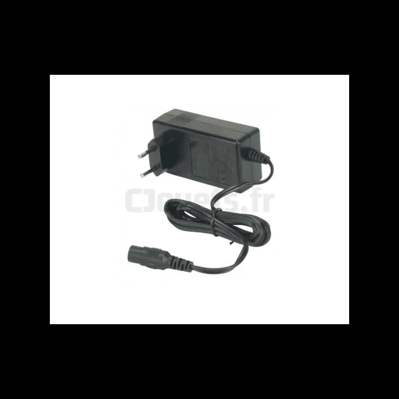 Chargeur de batterie 24 Volts Injusa