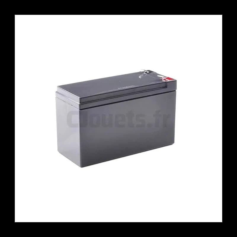 Batterie 12 Volts 9Ah adaptable pour véhicules électriques