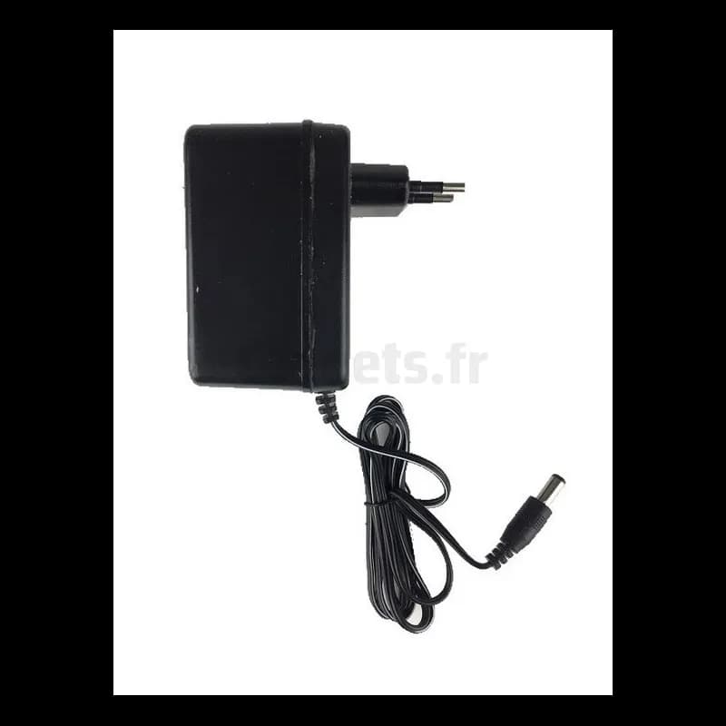 Chargeur de batterie 12 Volts 700 mAh Pour Véhicules Electriques