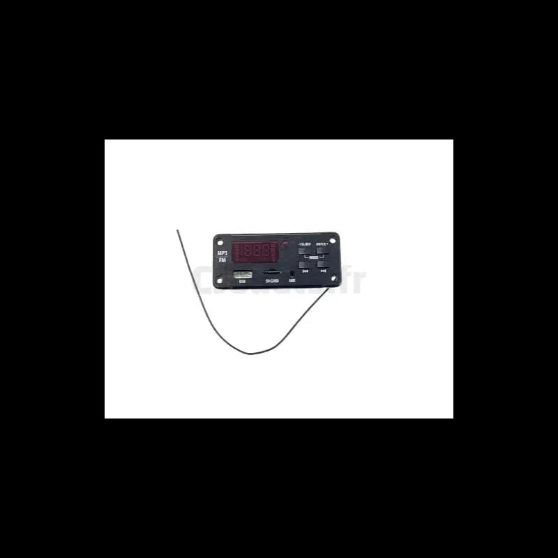 Radio pour Gaucho pro Realtree 24 Volts PegPerego