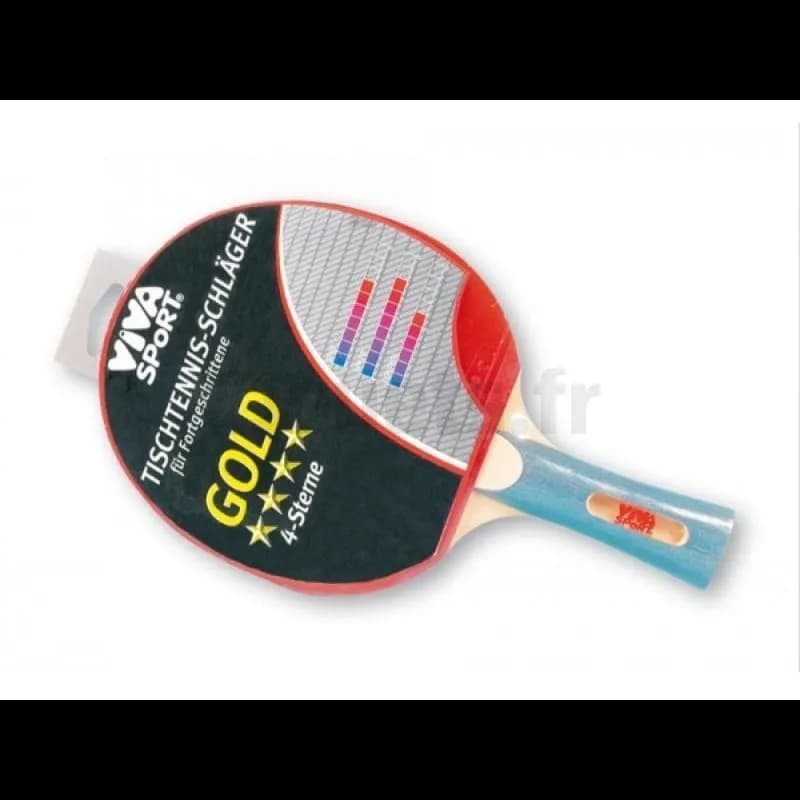 Raquette de Tennis de Table Viva Sport