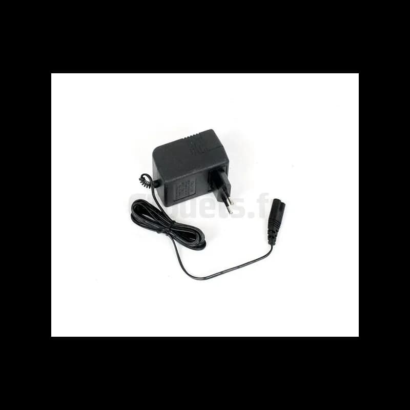 Chargeur de batterie 6 Volts 500 mAh
