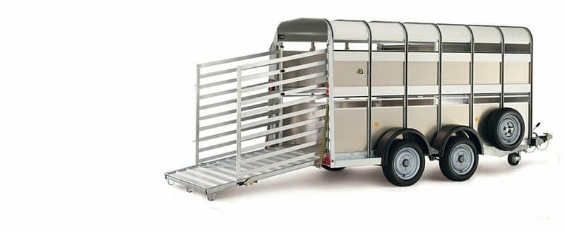 Ifor Williams Pferdeanhänger TA5 250x155x182 cm, SW10830