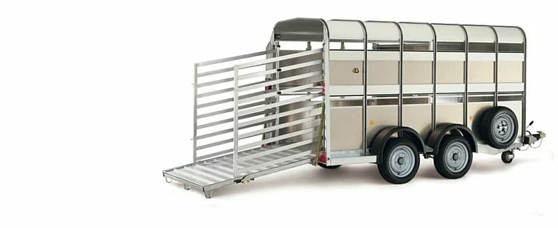 Ifor Williams Pferdeanhänger TA5 311x155x182 cm, SW11201