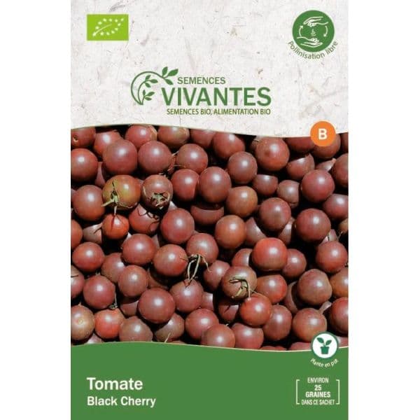 Graines de Tomate Cerise Black Cherry Bio - Sachet de 25 graines à planter - Semences Vivantes