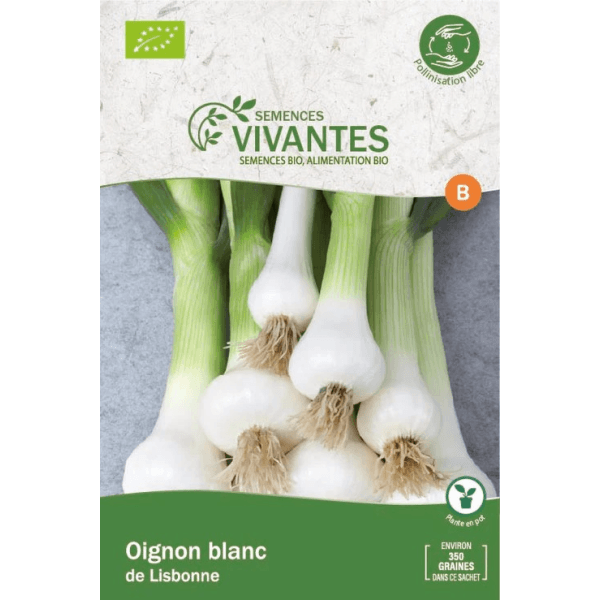 Graines de Oignon blanc de Lisbonne Bio - Sachet de 350 graines à planter - Semences Vivantes