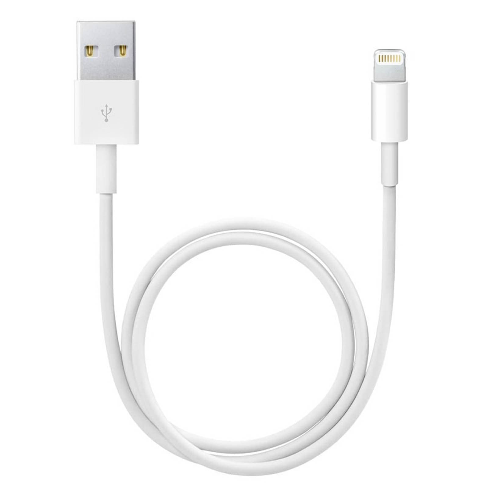 Cable Lightning Original Apple ME291ZM/A