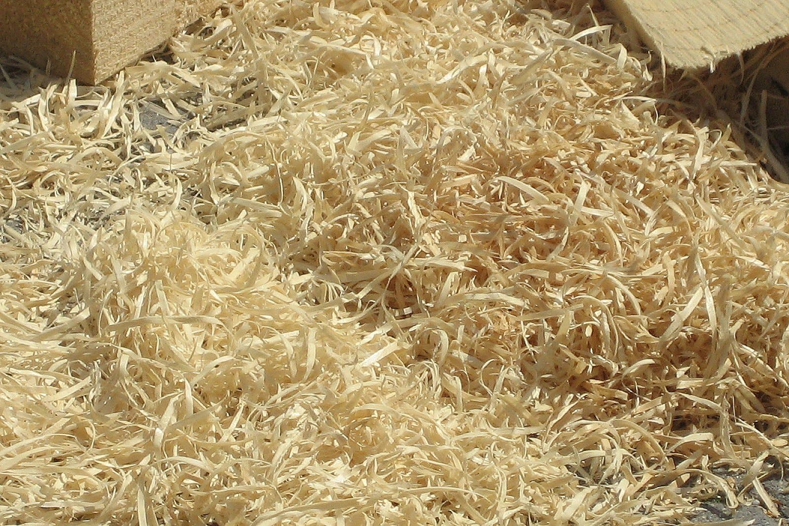 Allume-feu laine de bois — 200 allume-feux naturels