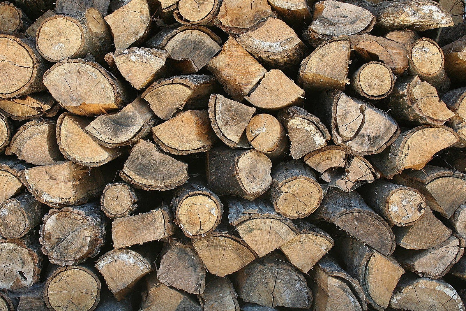 Palette feuillus 30 cm — Feuillus durs rangés