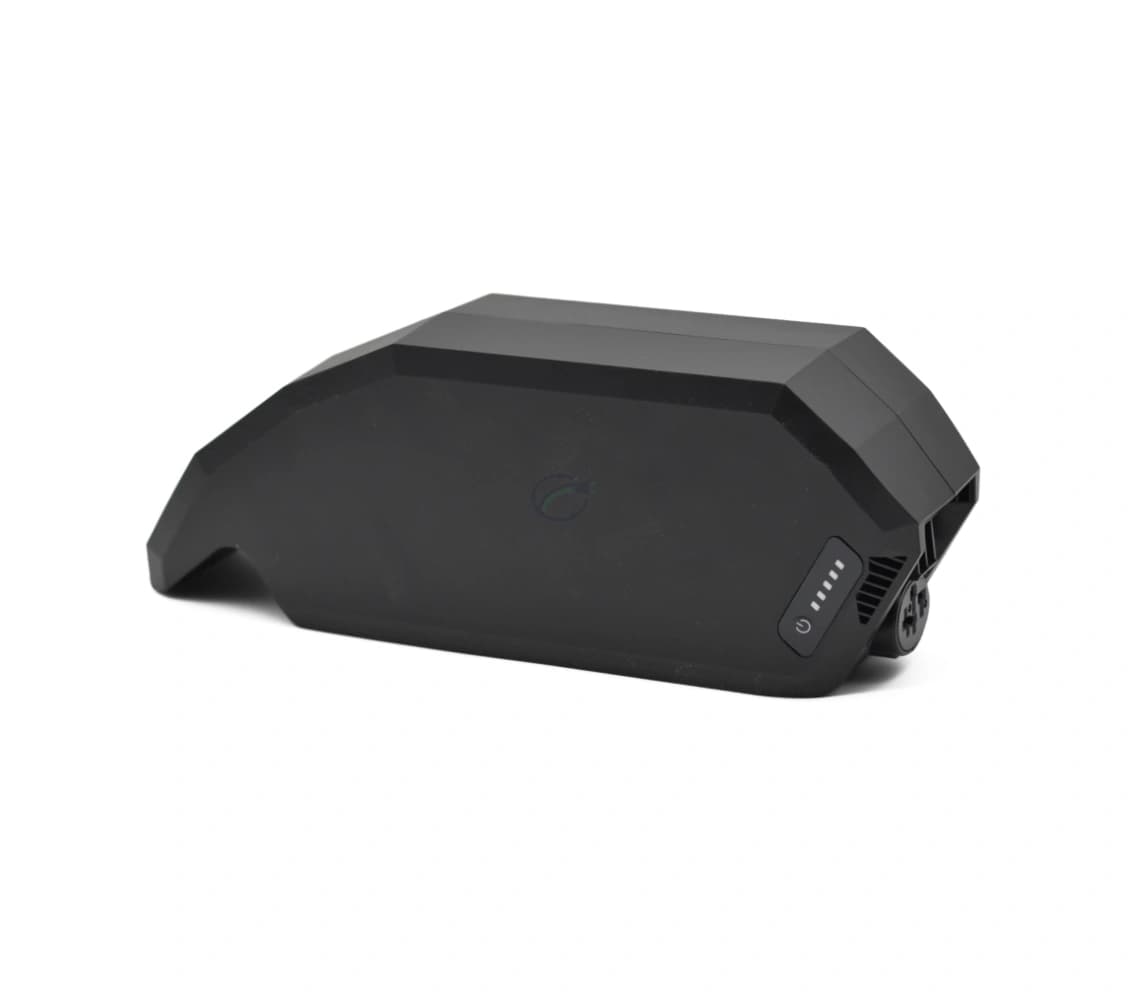 Bosch PowerPack 700 | Performance/Active | Rahmen | von E-Bike Vision