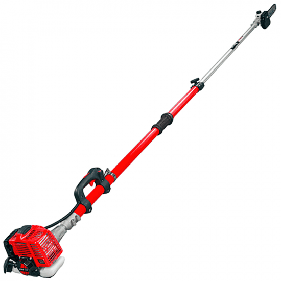 Perche élagueuse télescopique BlueBird PTT261