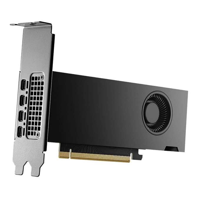 PNY RTX 2000 Ada Generation Grafikkarte, 16384 MB GDDR6