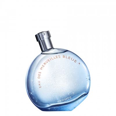 Hermès - Eau Des Merveilles Bleue 100 Ml Eau De Toilette Vaporisateur