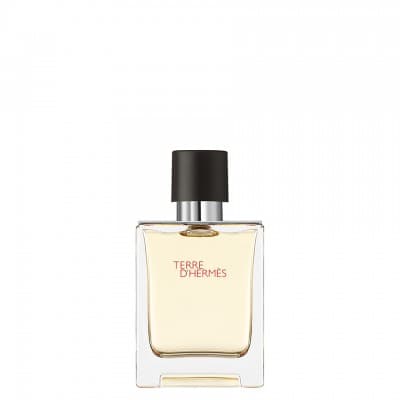 Hermès - Terre D'hermès 50 Ml Eau De Toilette Vaporisateur