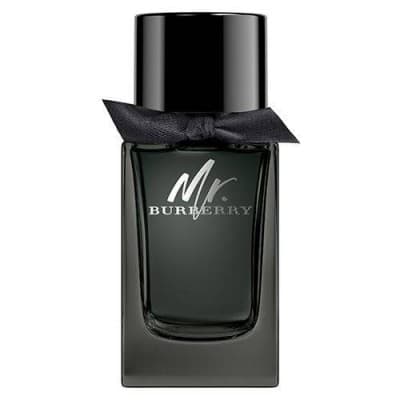 Burberry - Mr. Burberry 100 Ml Eau De Parfum Vaporisateur