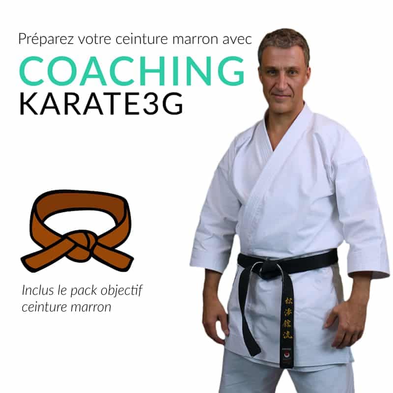 Pack objectif Karate3Gâ„¢ : ceinture marron de karate
