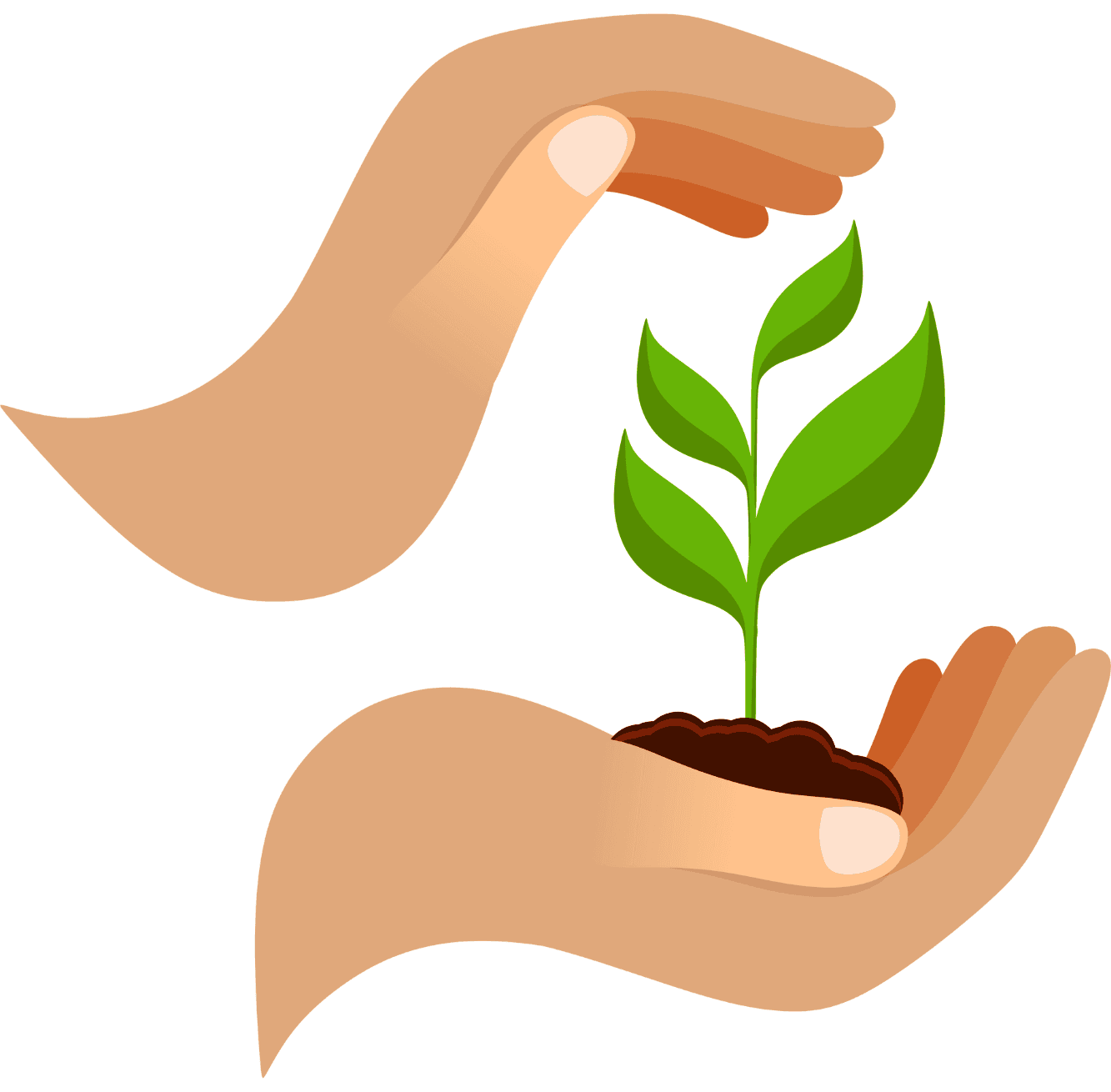 Atelier autour des plantes Adultes 3h00