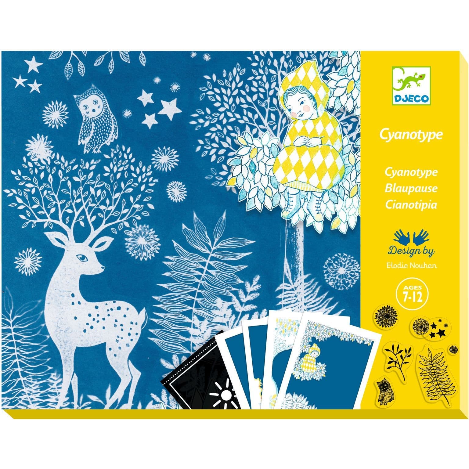 Djeco Coffret Cyanotype Au clair de la lune Papier photosensible