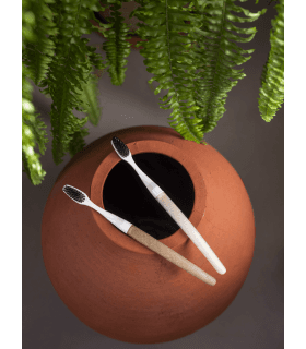 Brosse à dents Edith - Bioseptyl Lin Médium