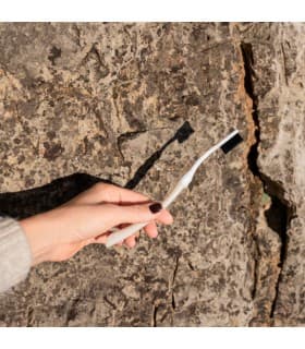 Brosse Ă dents Edith - Bioseptyl Saint-Jacques Souple