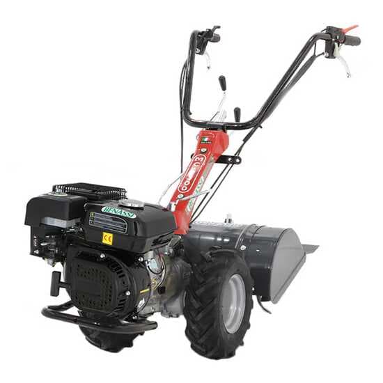Benassi MC2300C – Motocultor de gasolina – Hwasdan H170 – 5,5 CV