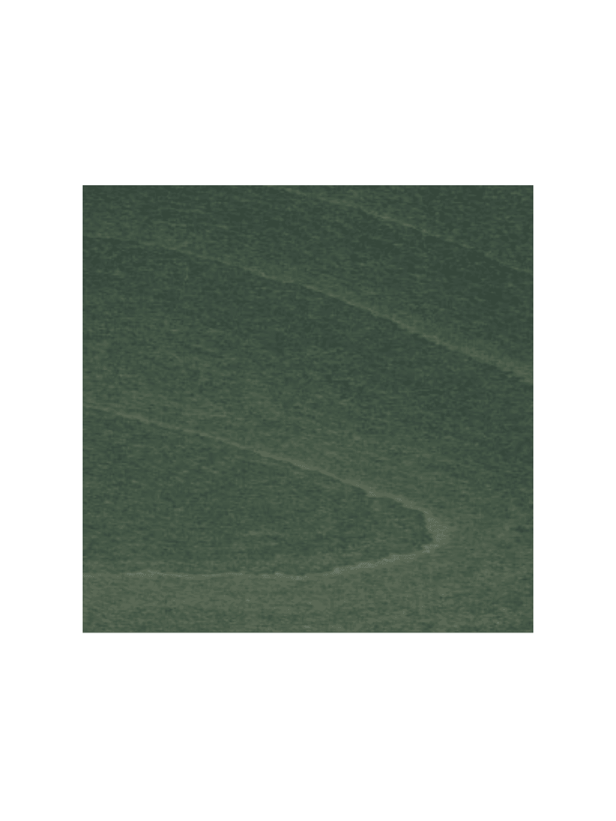 Chaise en bois de HĂȘtre massif, Benda B 2960 Vert ForĂȘt - Paged