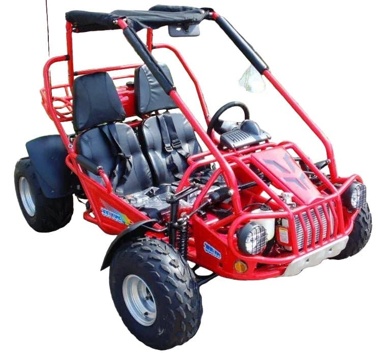 Trailmaster Eagle 300XRSE EFI Ultra Buggy Go Kart Largest Engine