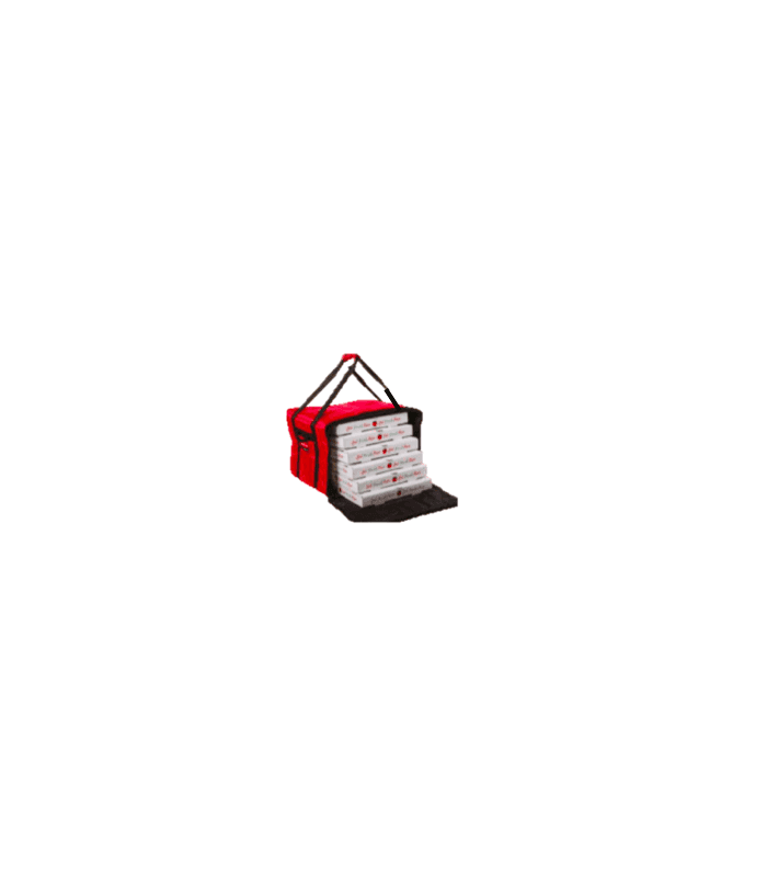 LOT DE 4 OU 6 SACS DE LIVRAISON PROFESSIONNELS - Grand modèle