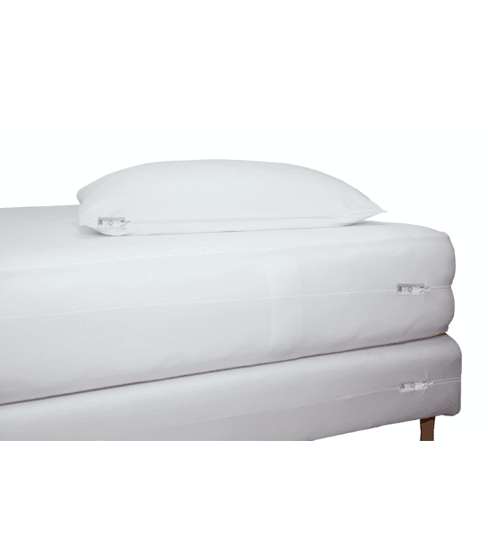 LOT DE 10 HOUSSES ANTI PUNAISES DE LIT - Non - 60x60 cm