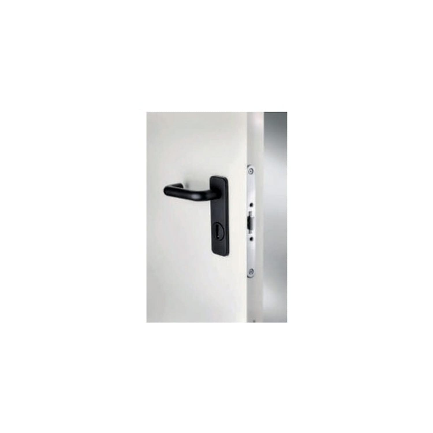 Porte coupe feu 1 H SPLIT 900 x 2050 mm