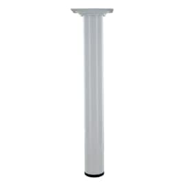 Pied d30 m10 acier chrome h350
