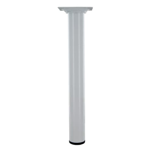 Pied d30 m10 acier chrome h250