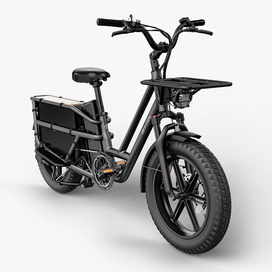Fiido T2 Vélo électrique Longtail Fatbike Cargo - GRIS