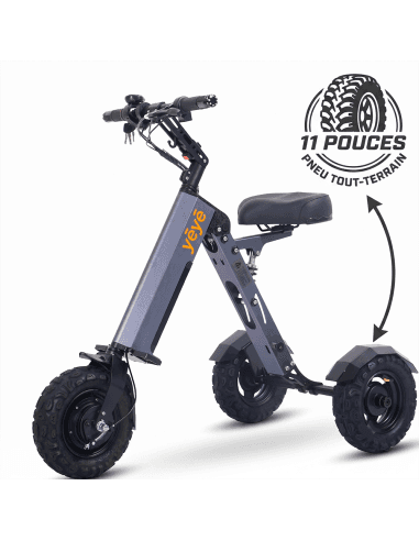 MATE 6 trottinette électrique 3 roues 11 pouces 300 watts PMR