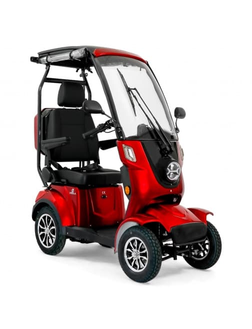 Scooter DS4 électrique avec toit 1000 watts 30 ah 4 roues