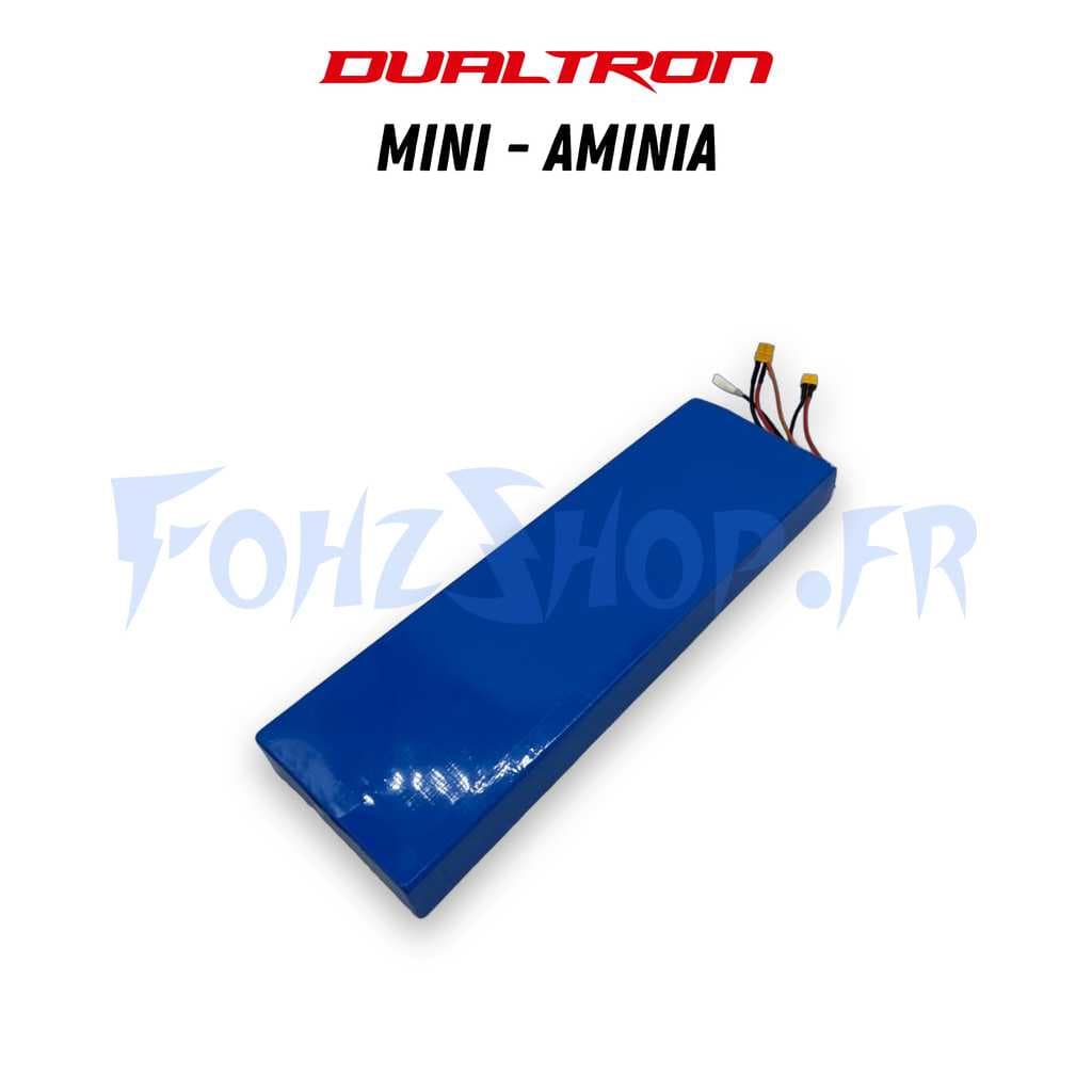 Batterie 52V 15,6Ah pour Dualtron Mini & Aminia