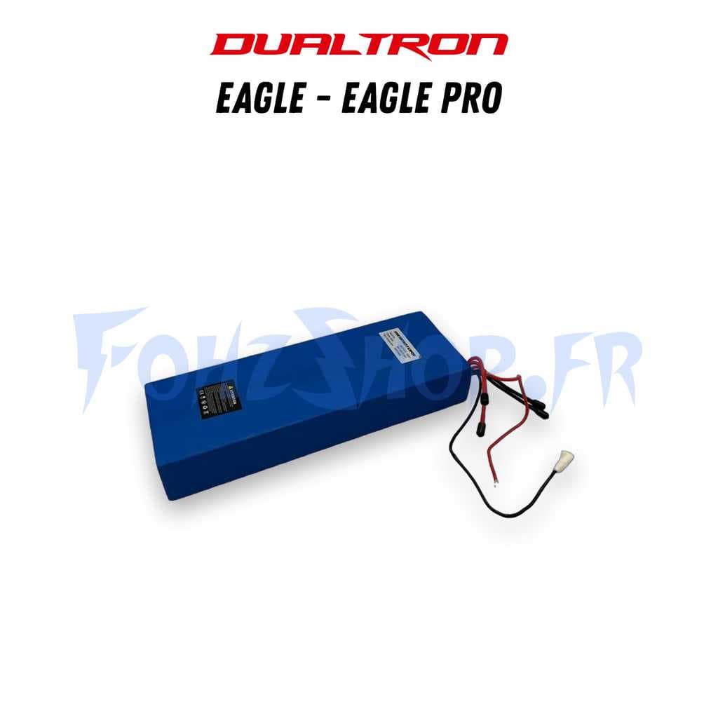 Batterie LG 60V 22,4Ah pour Dualtron Eagle & Eagle Pro