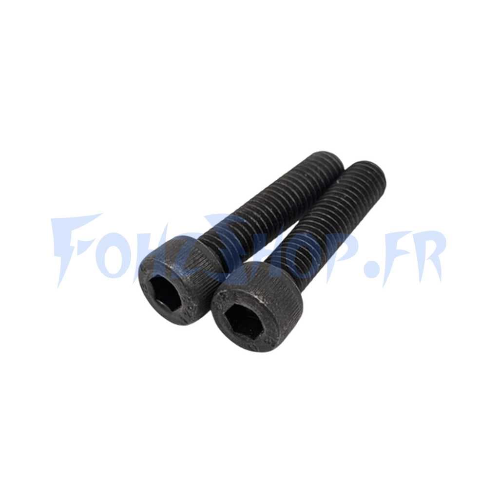 Vis de fourche avant x2 pour Dualtron Mini, Mini Limited, Mini Special & Togo Limited