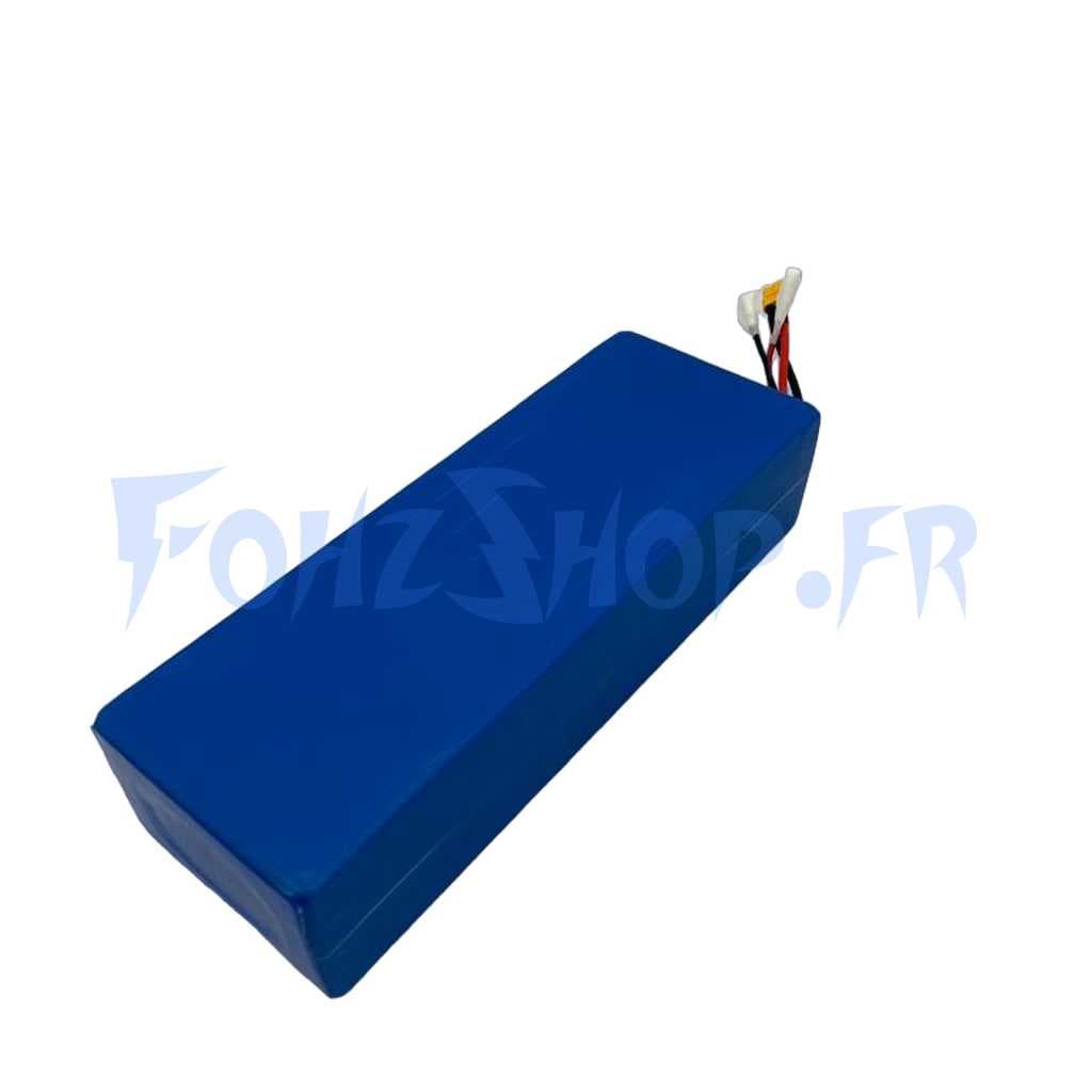 Batterie 52V 25Ah pour Dualtron Pop