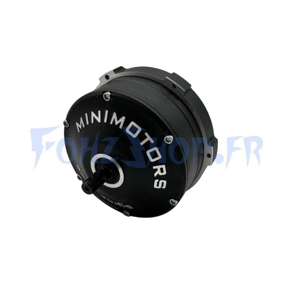 Moteur 36V pour Dualtron Togo